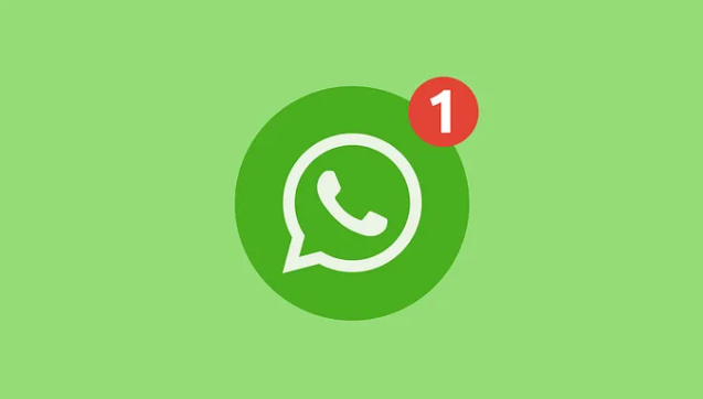 how to add filter to whatsapp video call